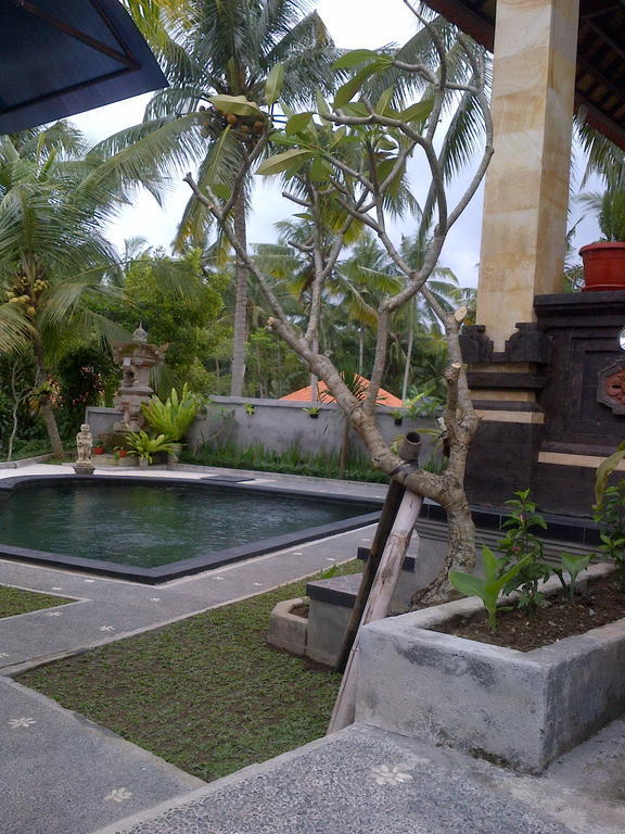 Gasthof Dewa House Bisma 2*