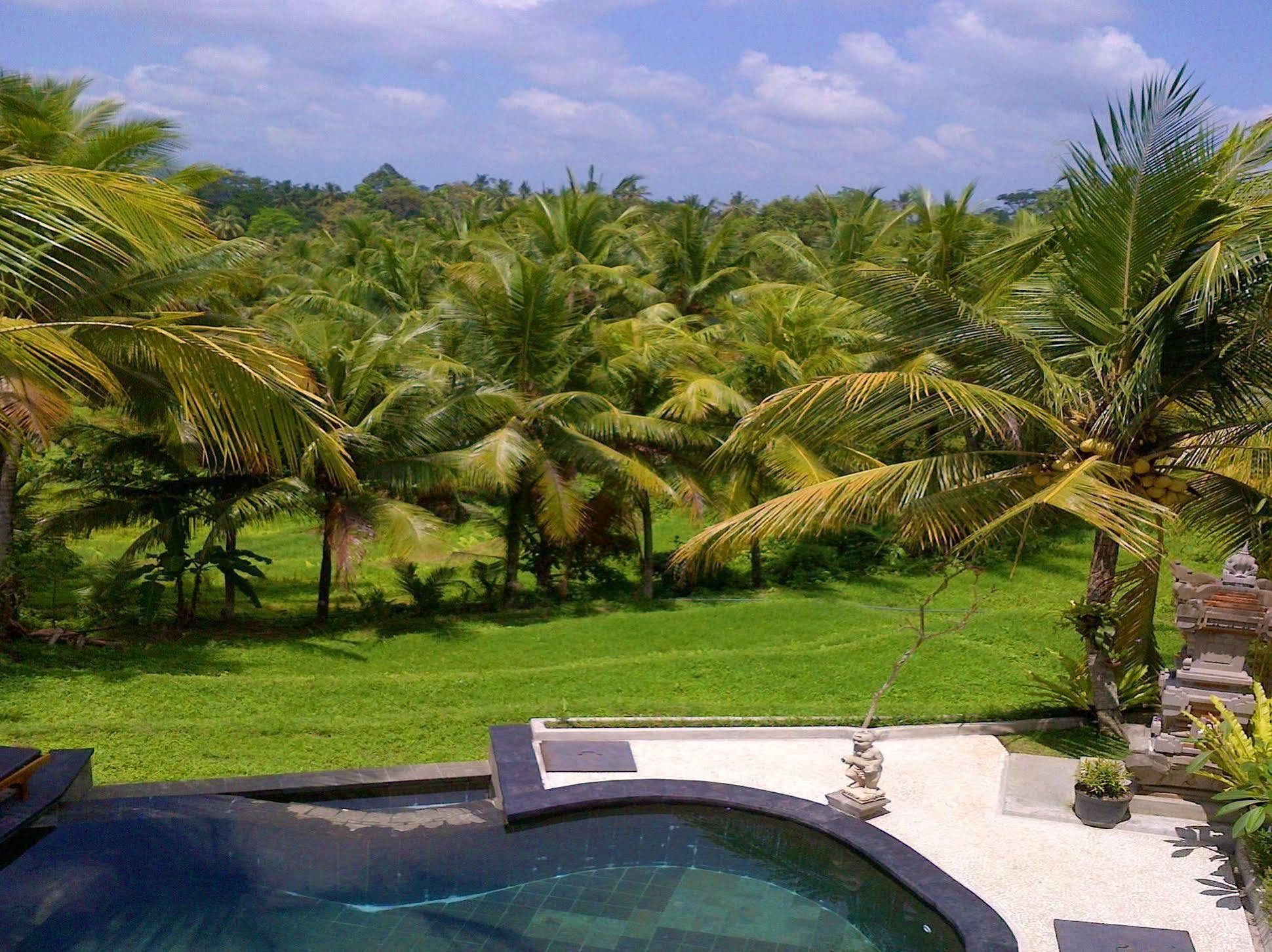 Gasthof Dewa House Bisma Ubud